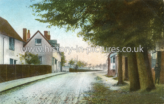 Braintree Road, Wethersfield, Essex. c.1906